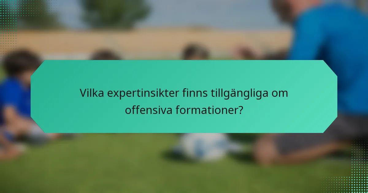 Vilka expertinsikter finns tillgängliga om offensiva formationer?